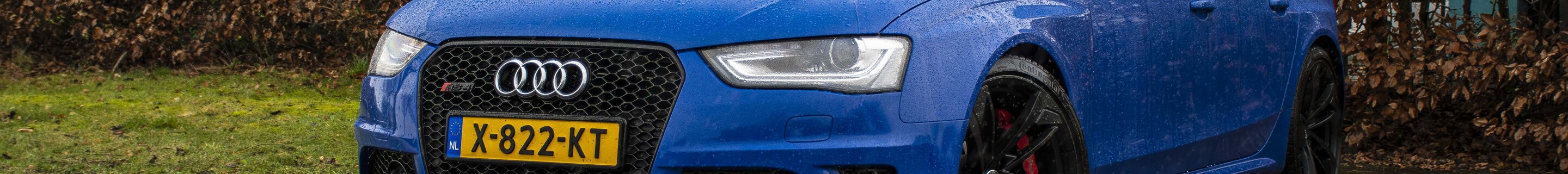 Audi RS4 Avant B8 Nogaro Selection