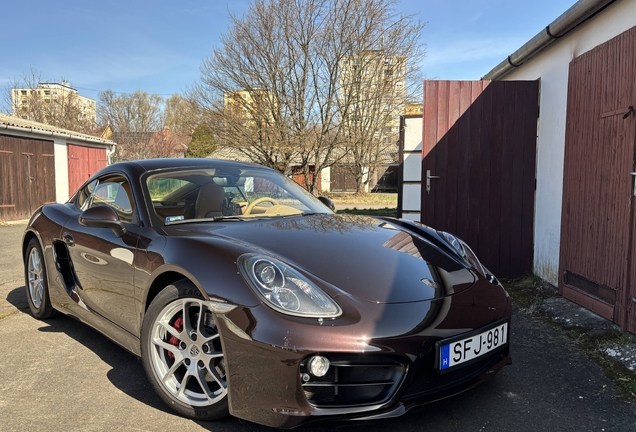 Porsche 981 Cayman S