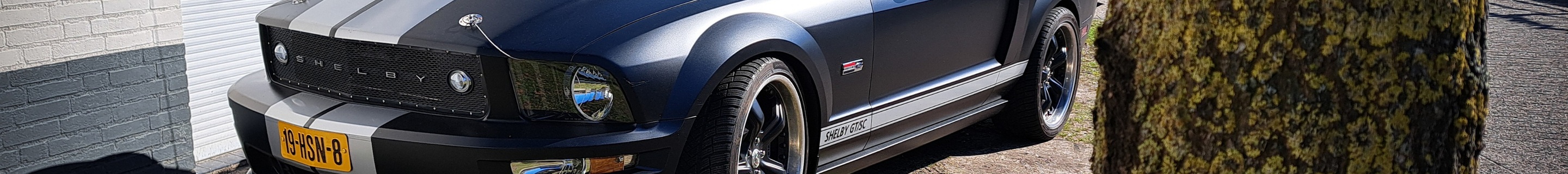 Ford Mustang Shelby GTSC