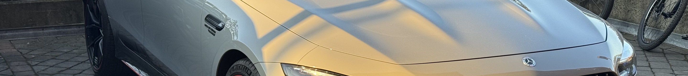 Mercedes-AMG GT 63 S E-Performance X290 F1 Edition