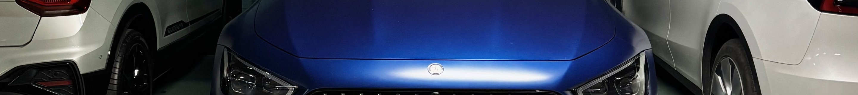 Mercedes-AMG GT 63 S X290 2024