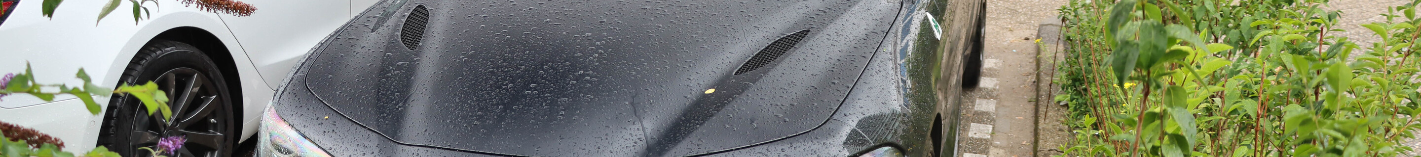 Alfa Romeo Giulia Quadrifoglio 2020