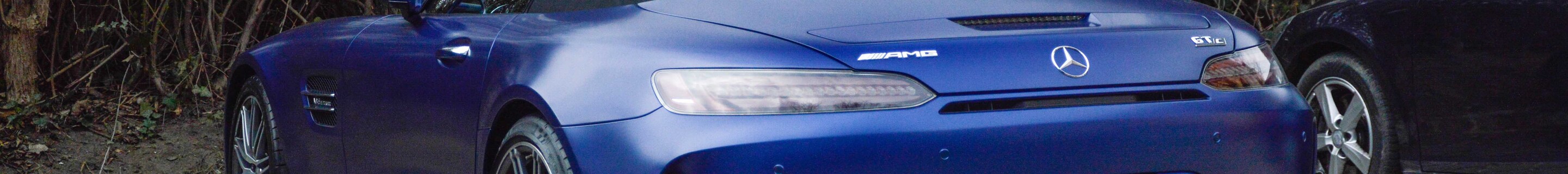 Mercedes-AMG GT C Roadster R190 2019