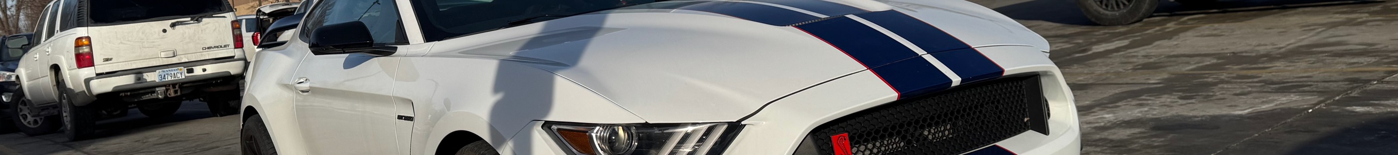 Ford Mustang Shelby GT350R 2015