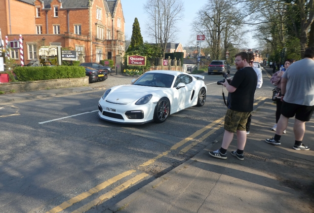Porsche 981 Cayman GT4