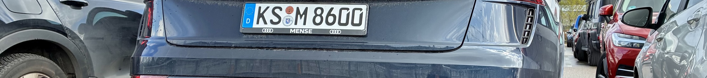 Audi RS Q8 2024
