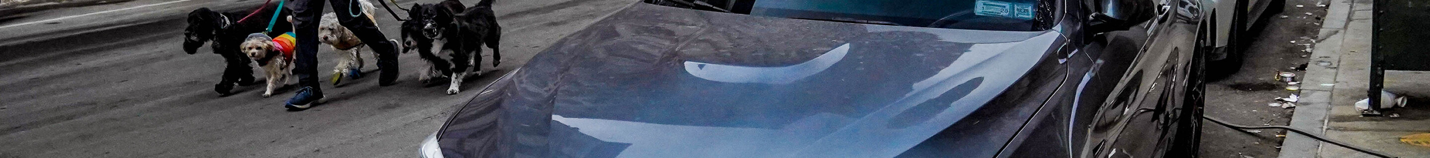 BMW M4 F83 Convertible