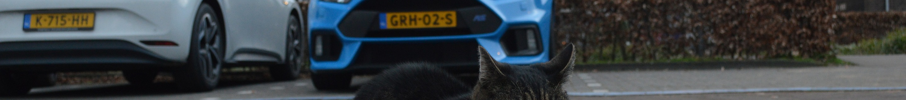 Ford Focus RS MkIII Performance Limited Edition