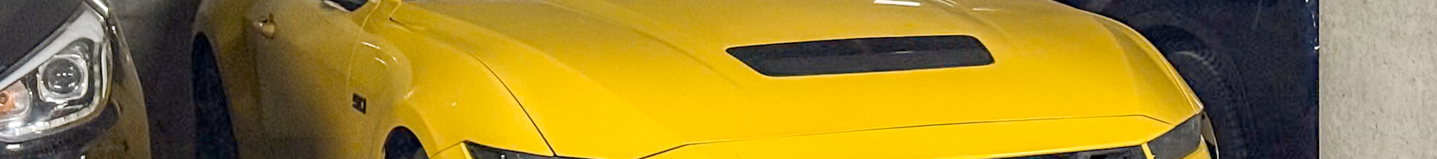 Ford Mustang GT 2024