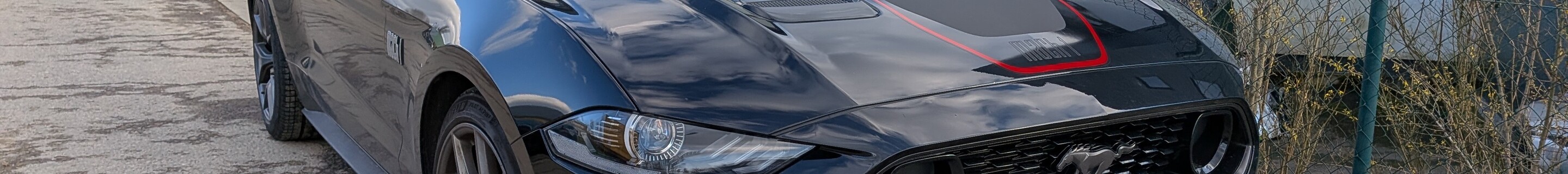 Ford Mustang Mach 1 2021