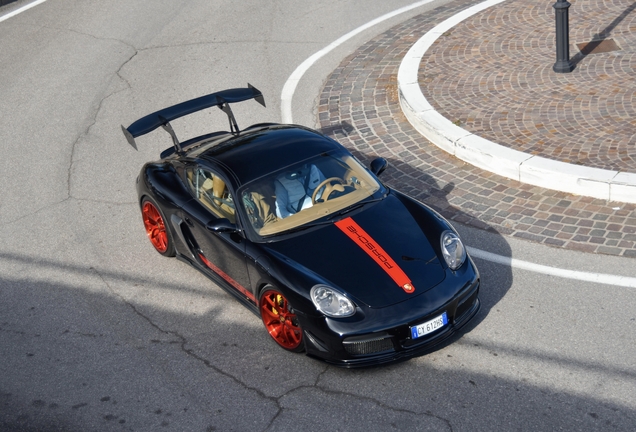 Porsche 987 Cayman S