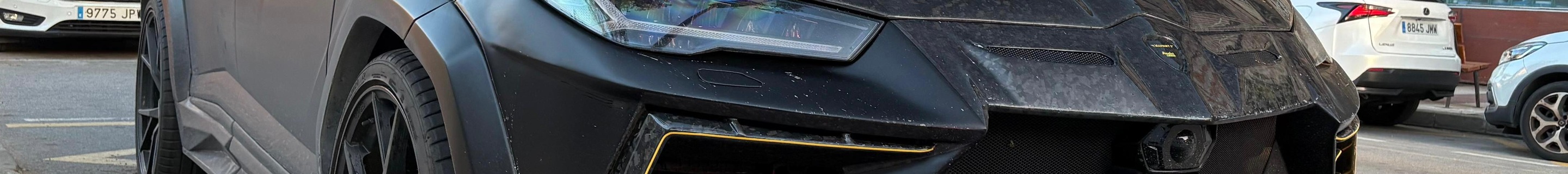 Lamborghini Urus Mansory Venatus