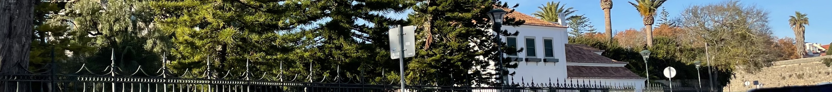 Porsche 718 Spyder RS Weissach Package