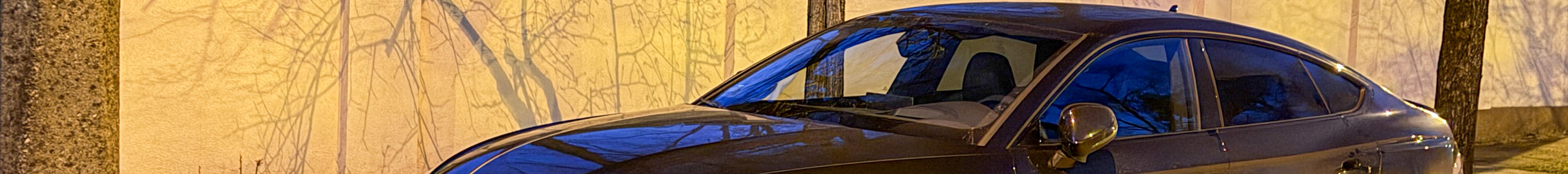 Audi RS5 Sportback B9 2021