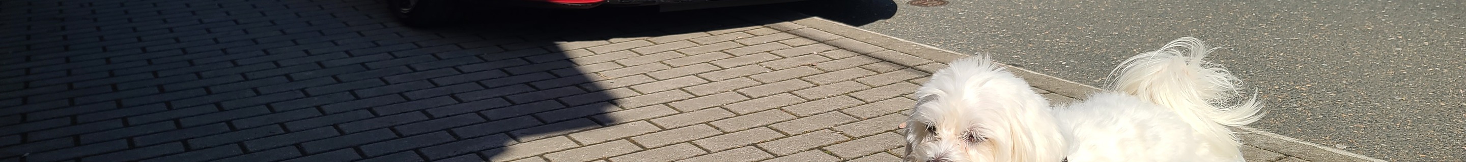 Mercedes-AMG A 45 S W177