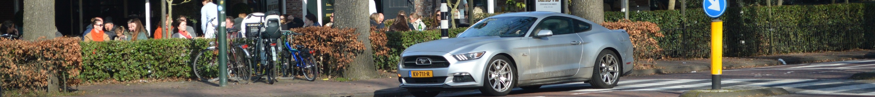 Ford Mustang GT 50th Anniversary Edition