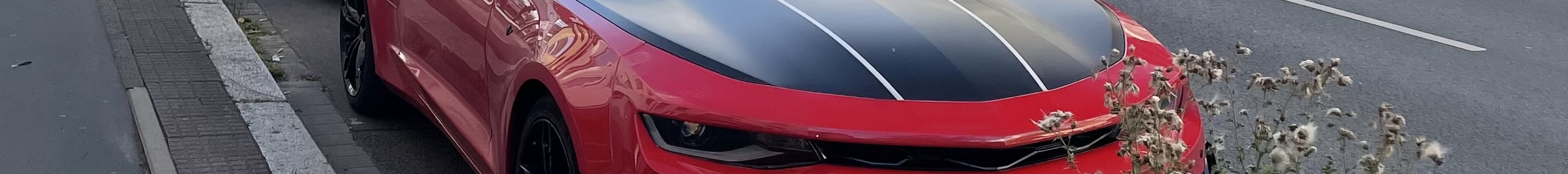 Chevrolet Camaro SS 1LE 2017