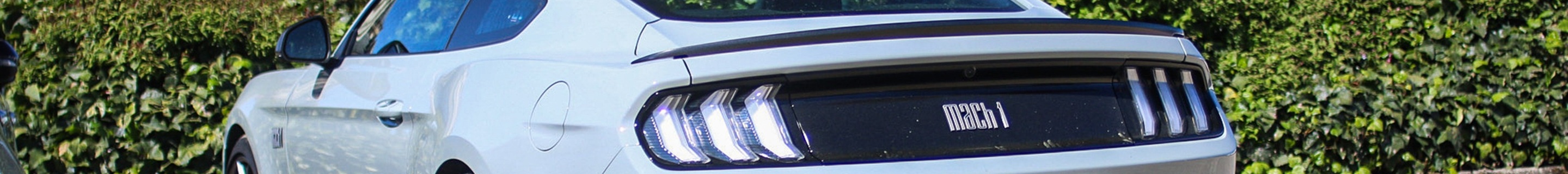 Ford Mustang Mach 1 2021