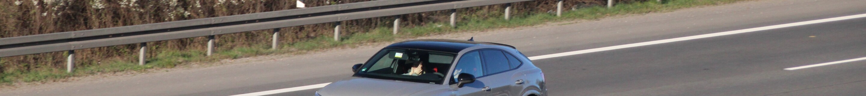 Audi RS Q3 Sportback 2020