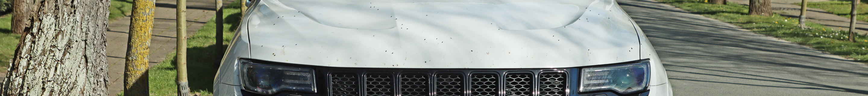 Jeep Grand Cherokee SRT 2017