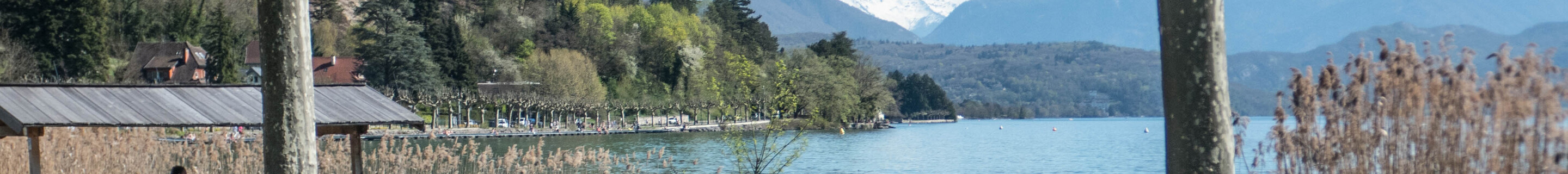 Porsche 992 Carrera S MkI