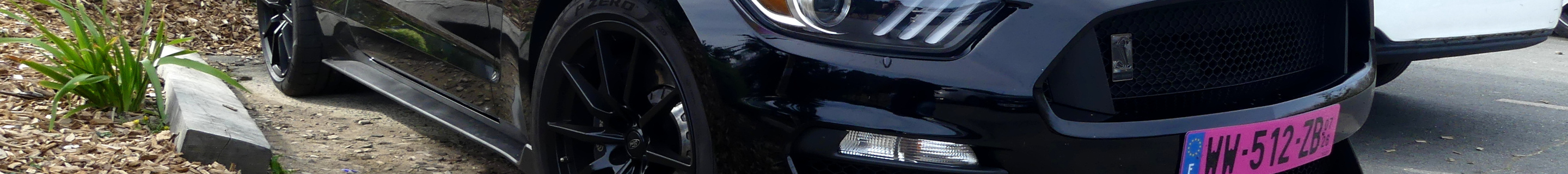 Ford Mustang Shelby GT350 2015