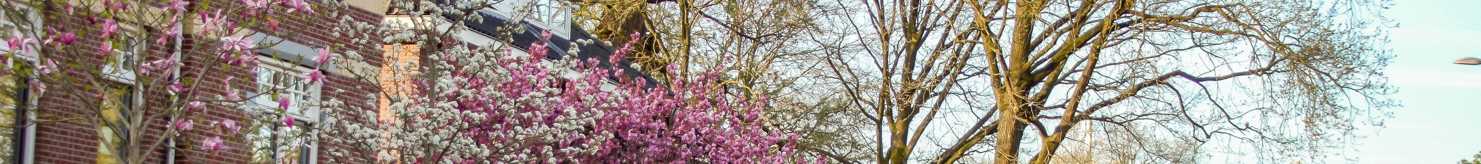 Porsche 991 Targa 4S MkI