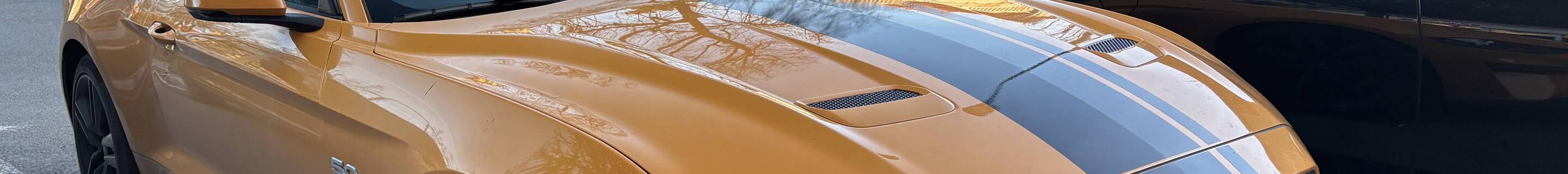 Ford Mustang GT 2018