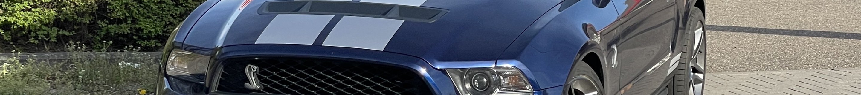 Ford Mustang Shelby GT500 Convertible 2010