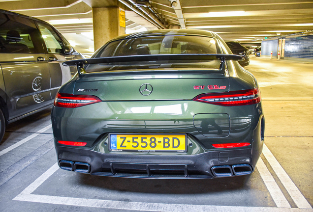 Mercedes-AMG GT 63 S E-Performance X290 2024