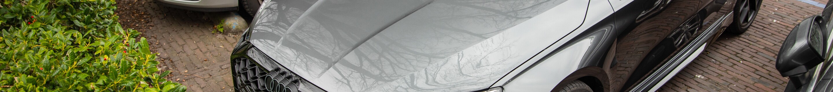 Audi RS3 Sportback 8Y 2025