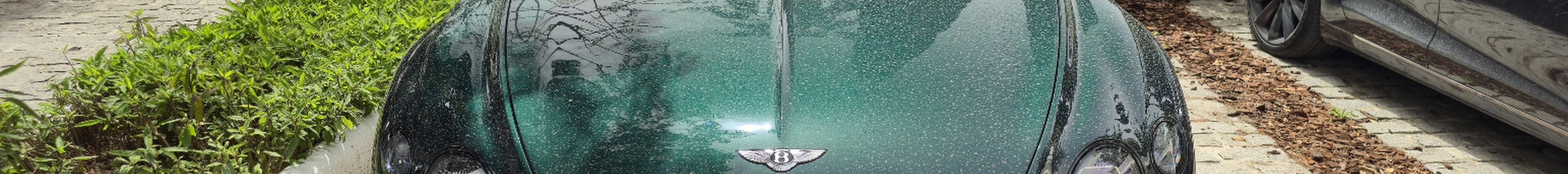 Bentley Continental GTC V8 S 2023