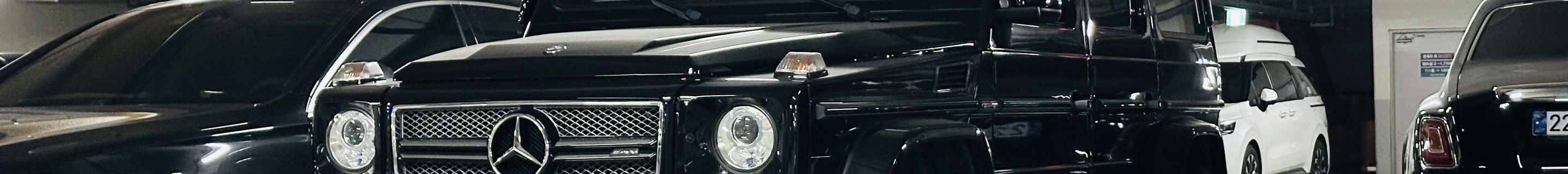 Mercedes-AMG G 65 2016 Edition 463