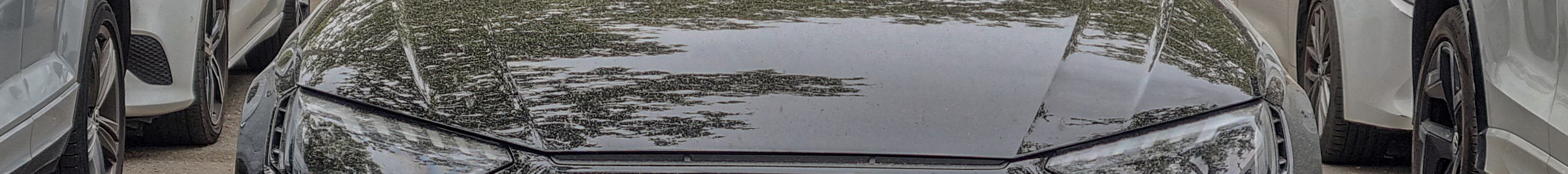 Audi RS4 Avant B9 2020