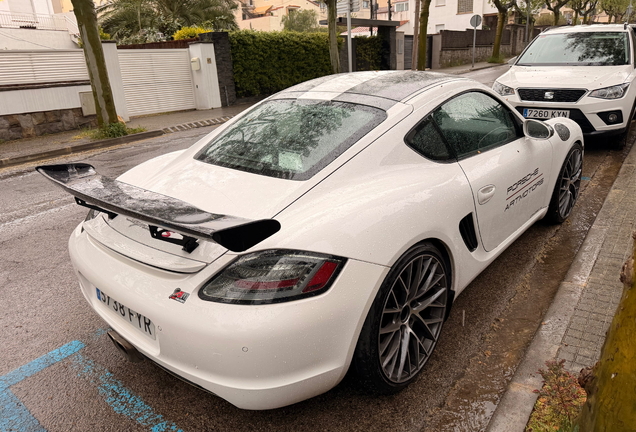 Porsche 987 Cayman S