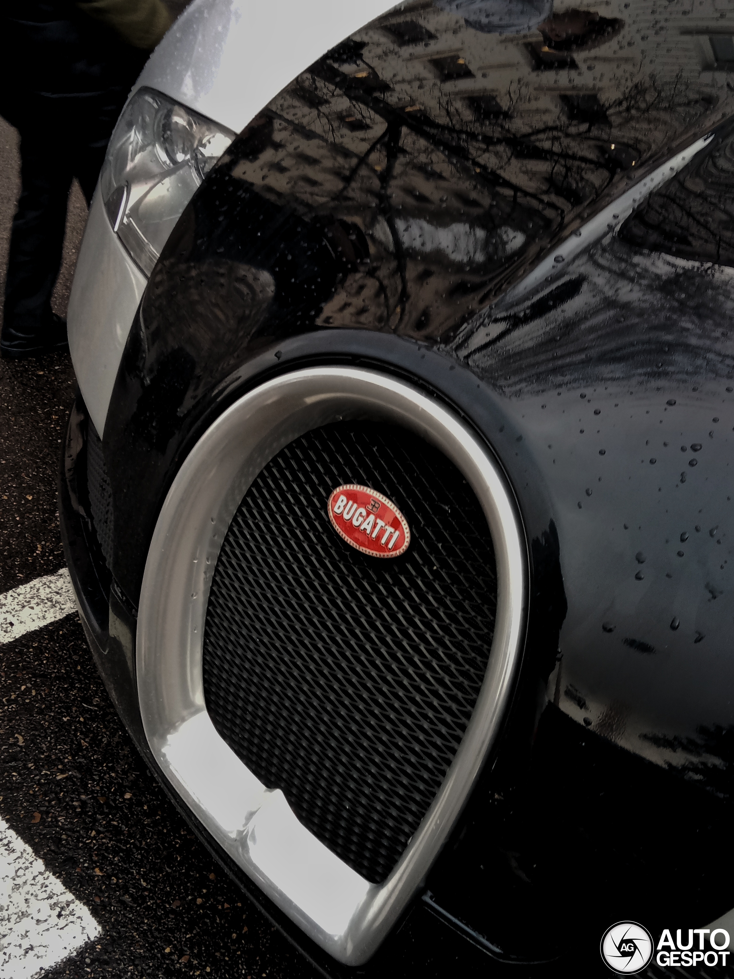 Bugatti Veyron 16.4