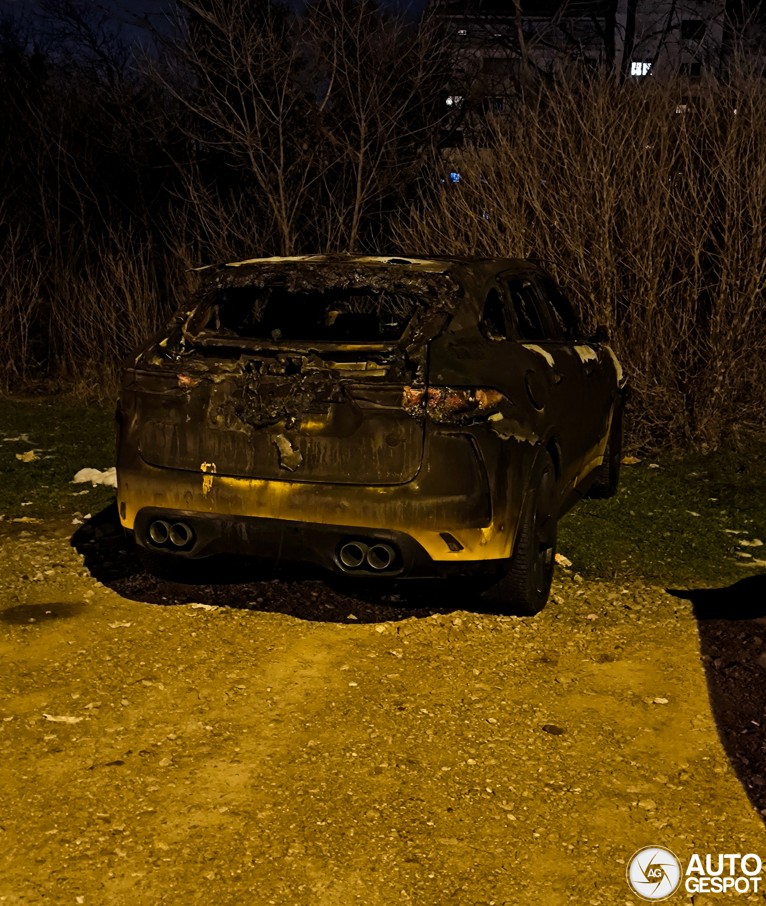 This Jaguar has seen better days