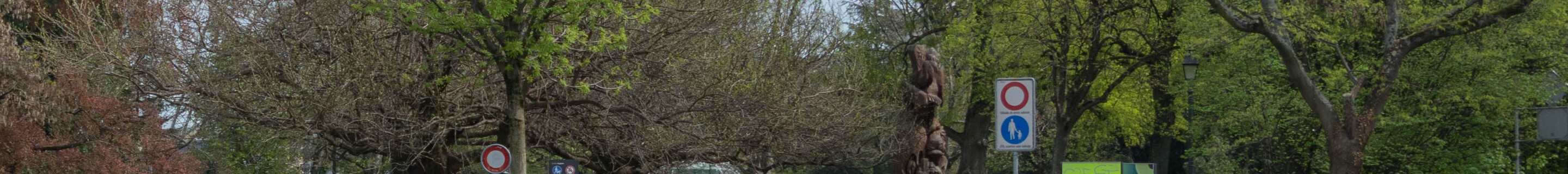 Audi RS3 Sportback 8Y 2025