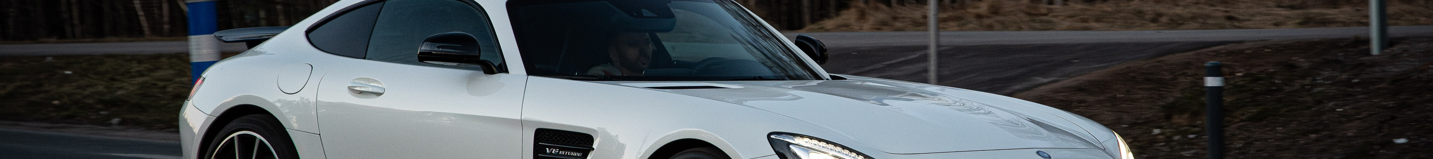 Mercedes-AMG GT S C190 Edition 1