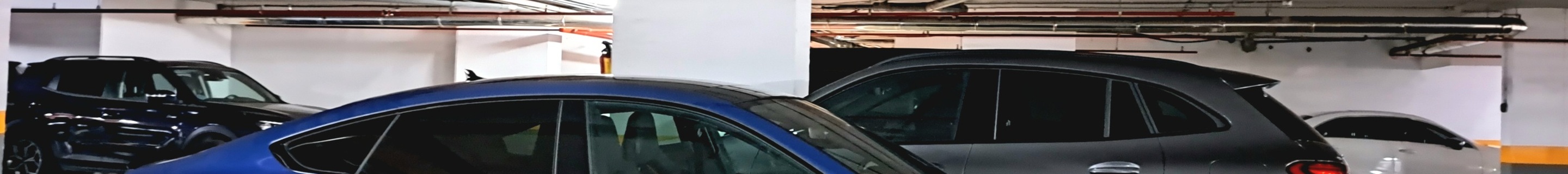 Audi RS5 Sportback B9 2021