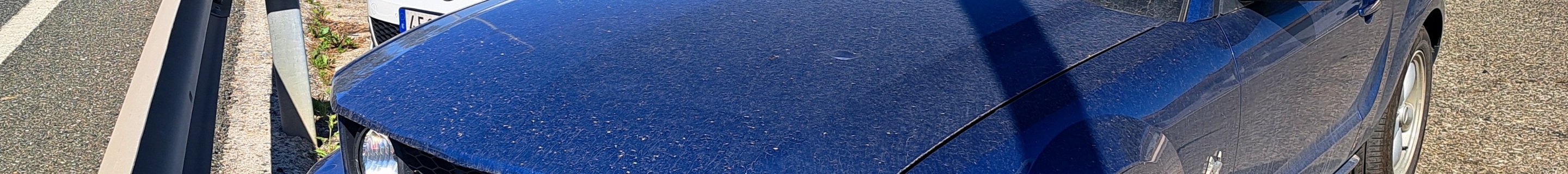 Ford Mustang GT 45th Anniversary Edition