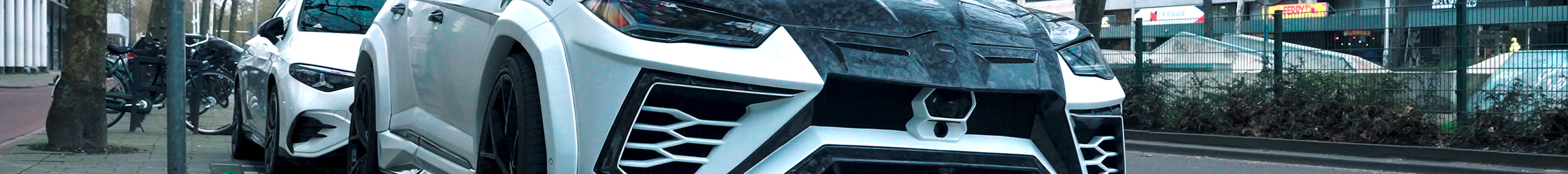 Lamborghini Urus Mansory Venatus