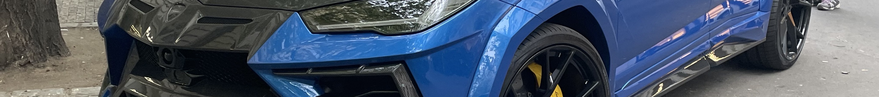 Lamborghini Urus Mansory Venatus