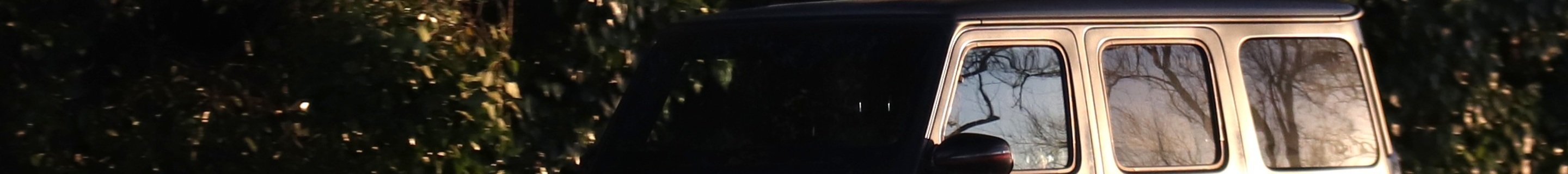 Mercedes-AMG G 63 W463 2018 Edition 1