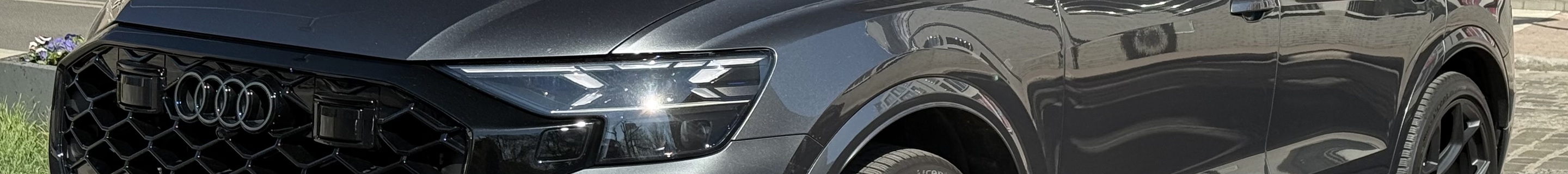 Audi RS Q8 2024
