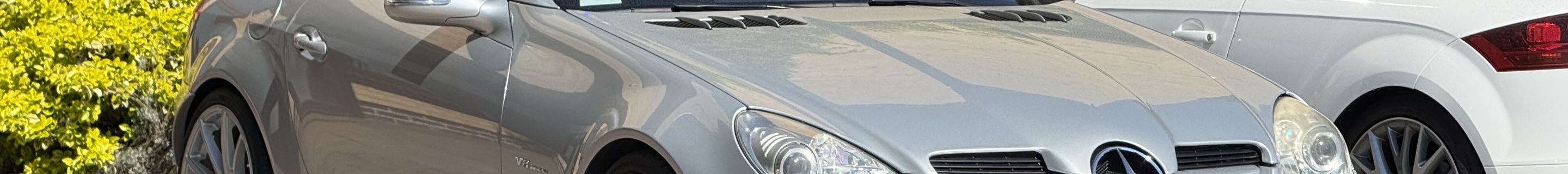 Mercedes-Benz SLK 55 AMG R171 2007