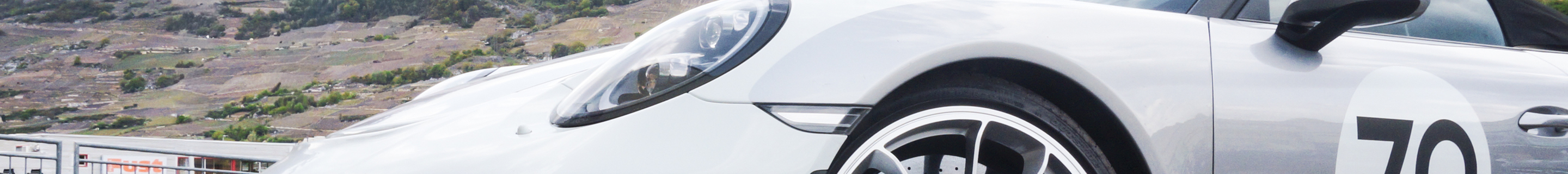 Porsche 991 Speedster Heritage Package