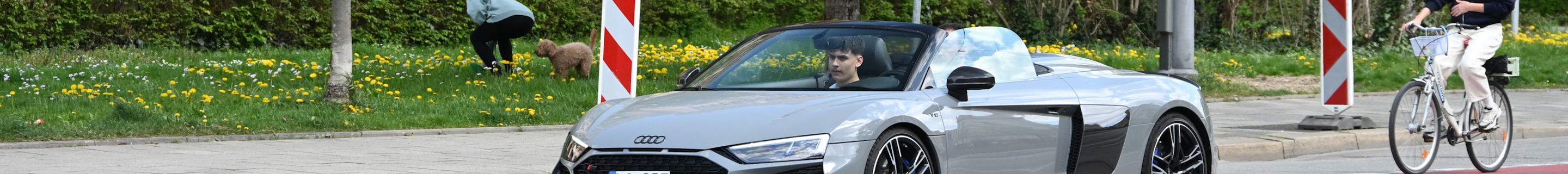 Audi R8 V10 Spyder Performance 2019