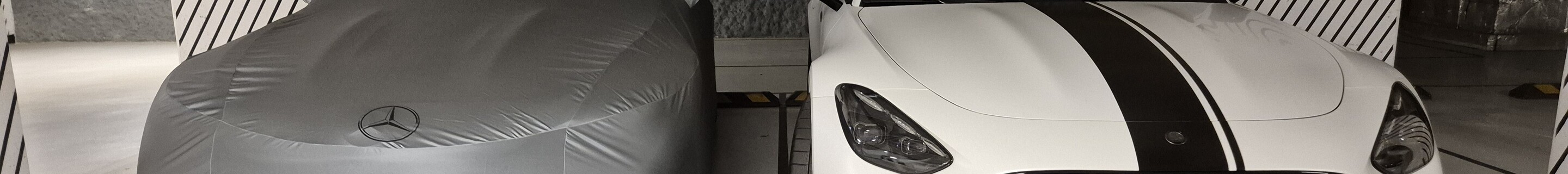 Mercedes-AMG GT 63 Pro C192