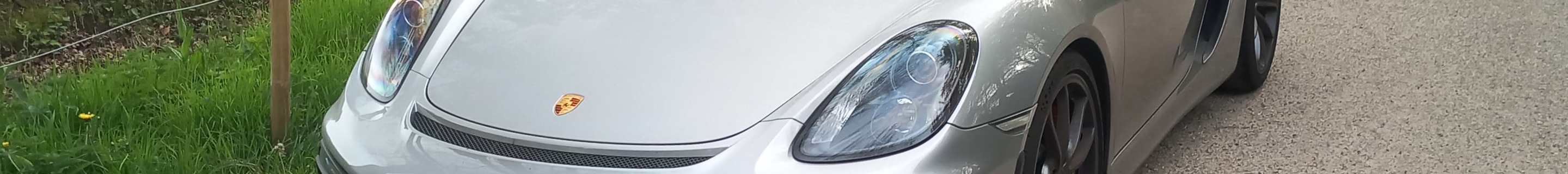 Porsche 981 Cayman GT4